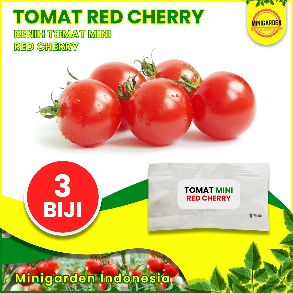 BENIH TOMAT MINI MERAH RED CHERRY 3 BIJI bibit sayur buah tomat cherry ceri merah import F1 IMPORT M