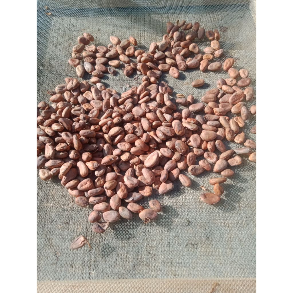 

Biji Kopi Coklat Premium Kemasan 1 Kg