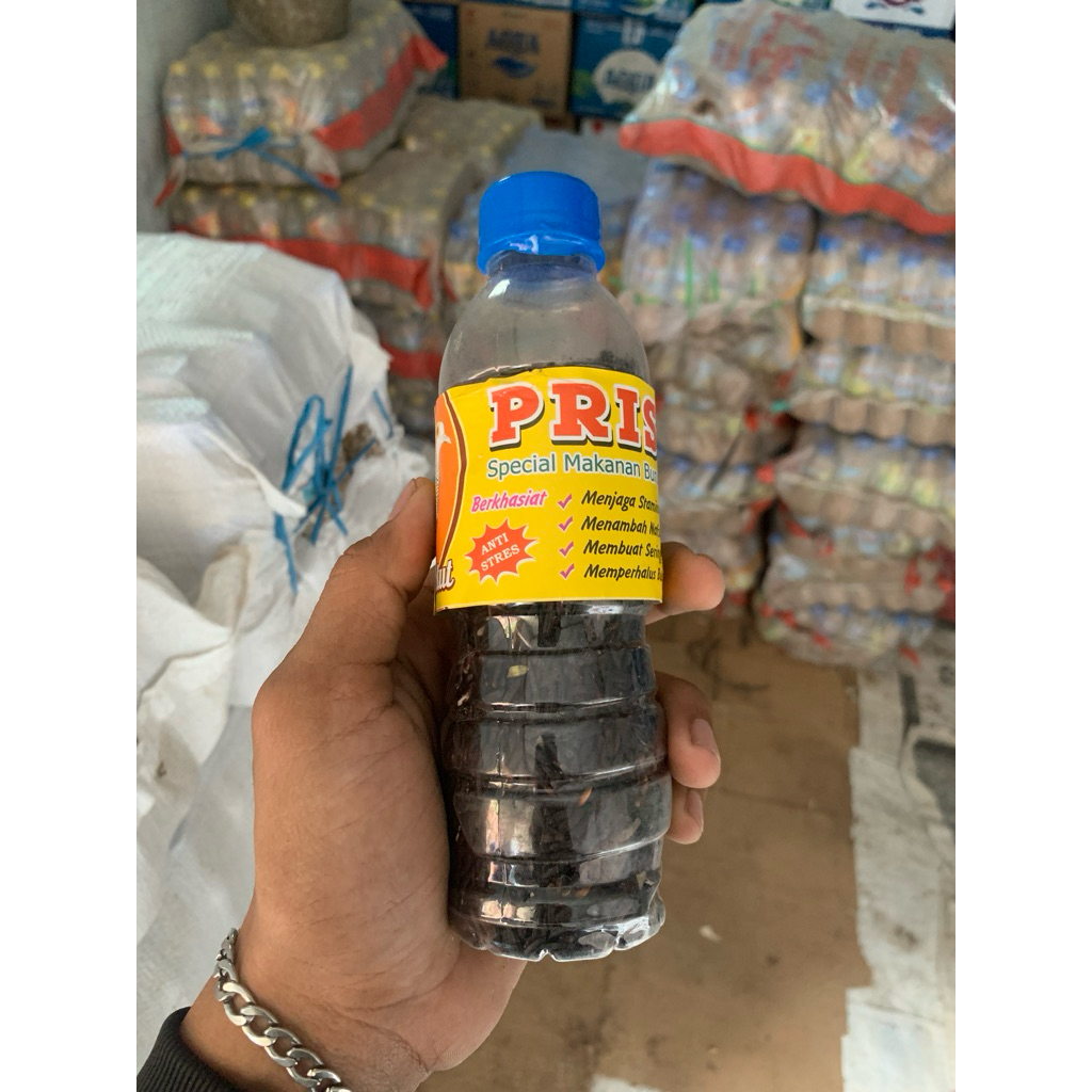 KETAN HITAM KWALITAS PAKAN BURUNG