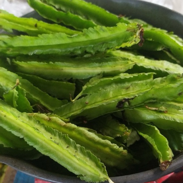 

KECIPIR SAYUR