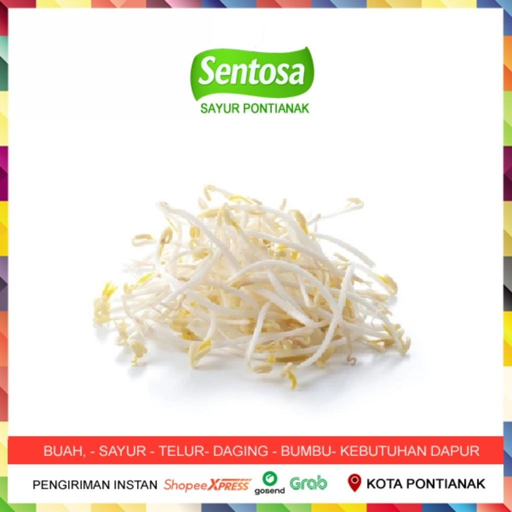 

Toge Tauge Kecambah 100 gr Sentosa Sayur Pontianak