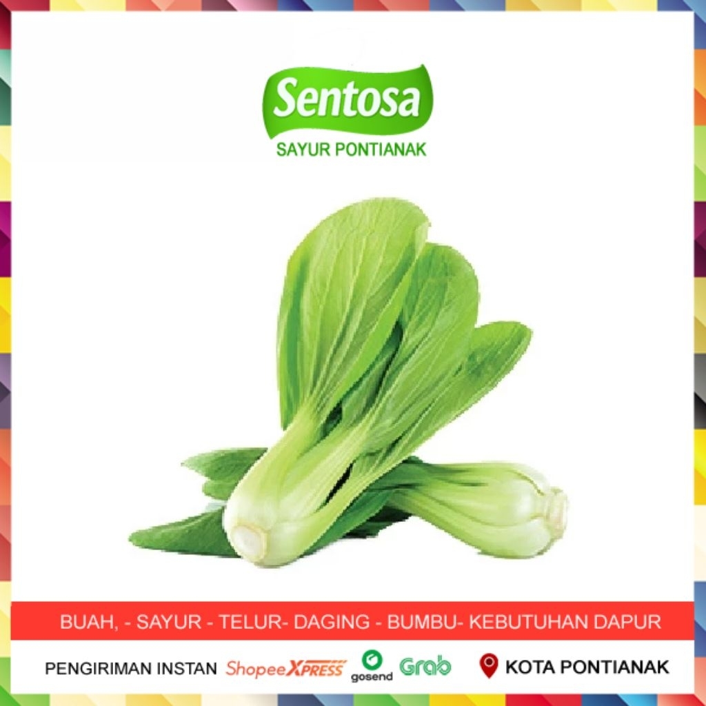 

Pakcoy / Pokcoy / Sawi Sendok 100 gram Sentosa Sayur Pontianak