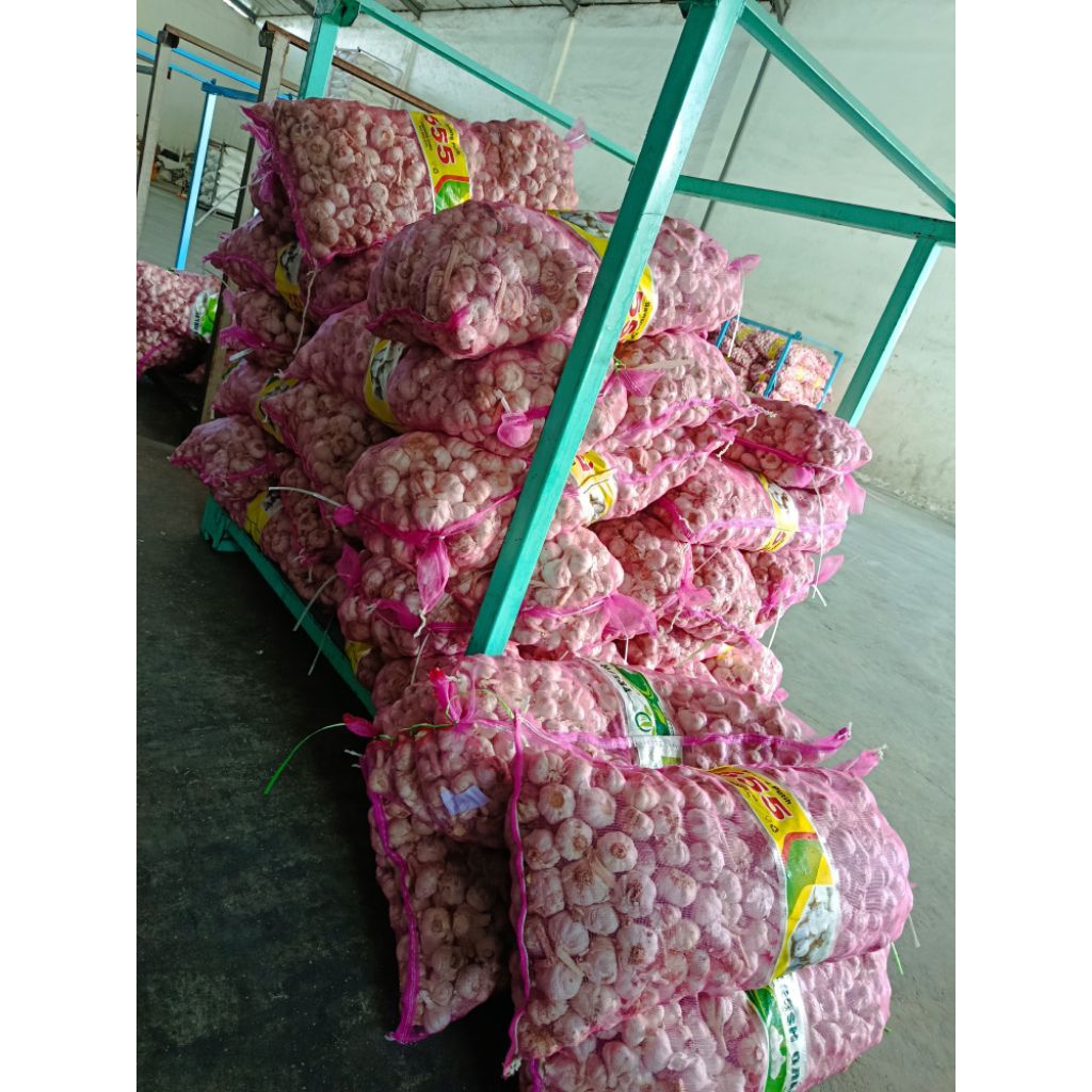 

Bawang Putih SINCO 20kg karungan grosir