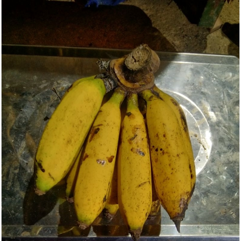 

pisang uli