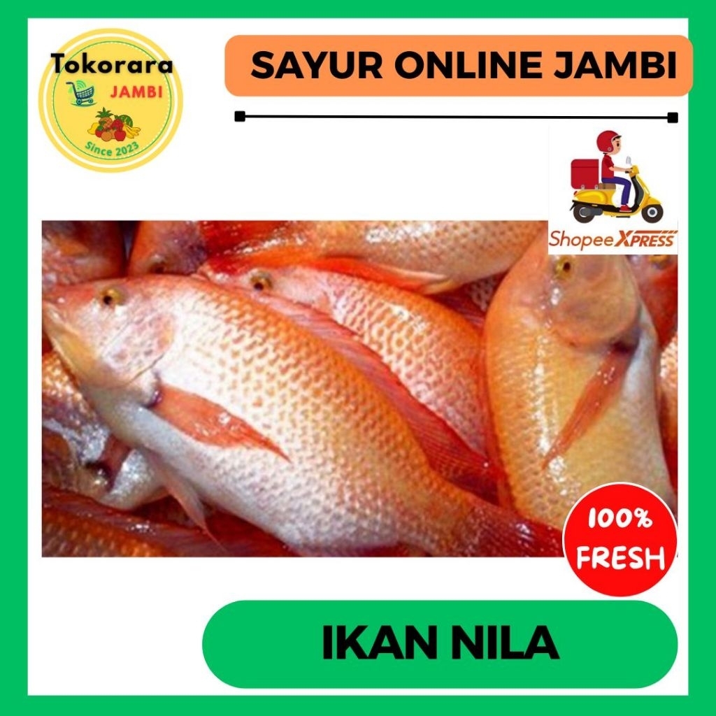 

KIRIM INSTAN Ikan Nila fresh-tokorara.jambi