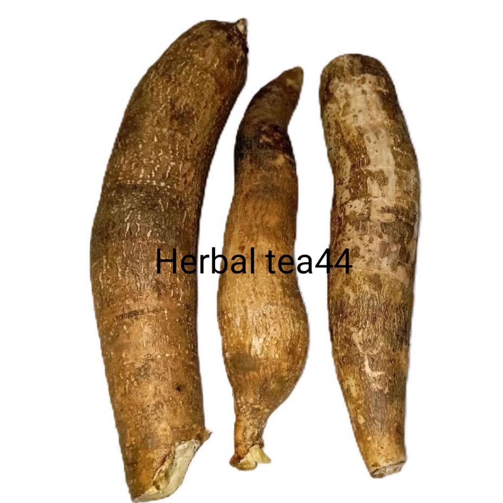 

Singkong Racun sapikuru asli segar paket 1 kg