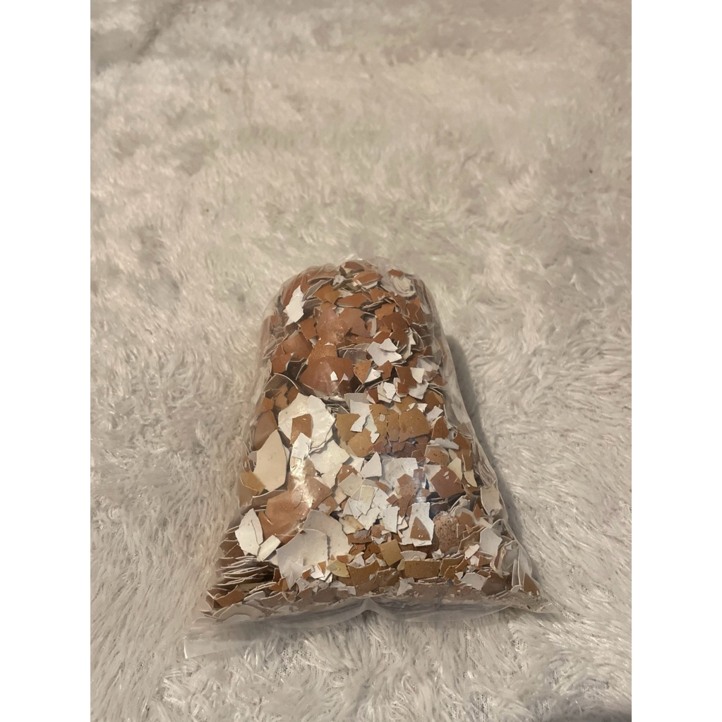 

kulit telur / cangkang telur ayam