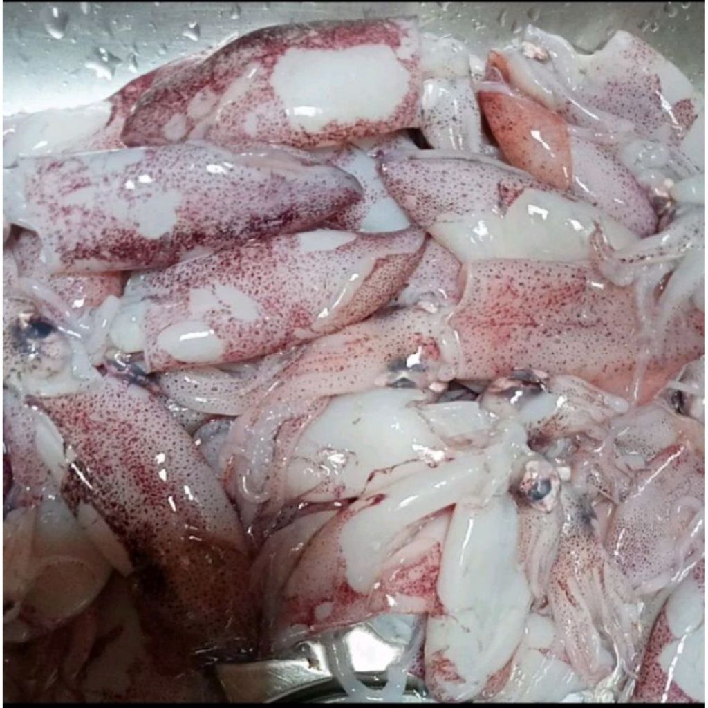 

Sotong segar fresh pasar pagi flamboyan/ cumi-cumi segar fresh pasar pagi flamboyan