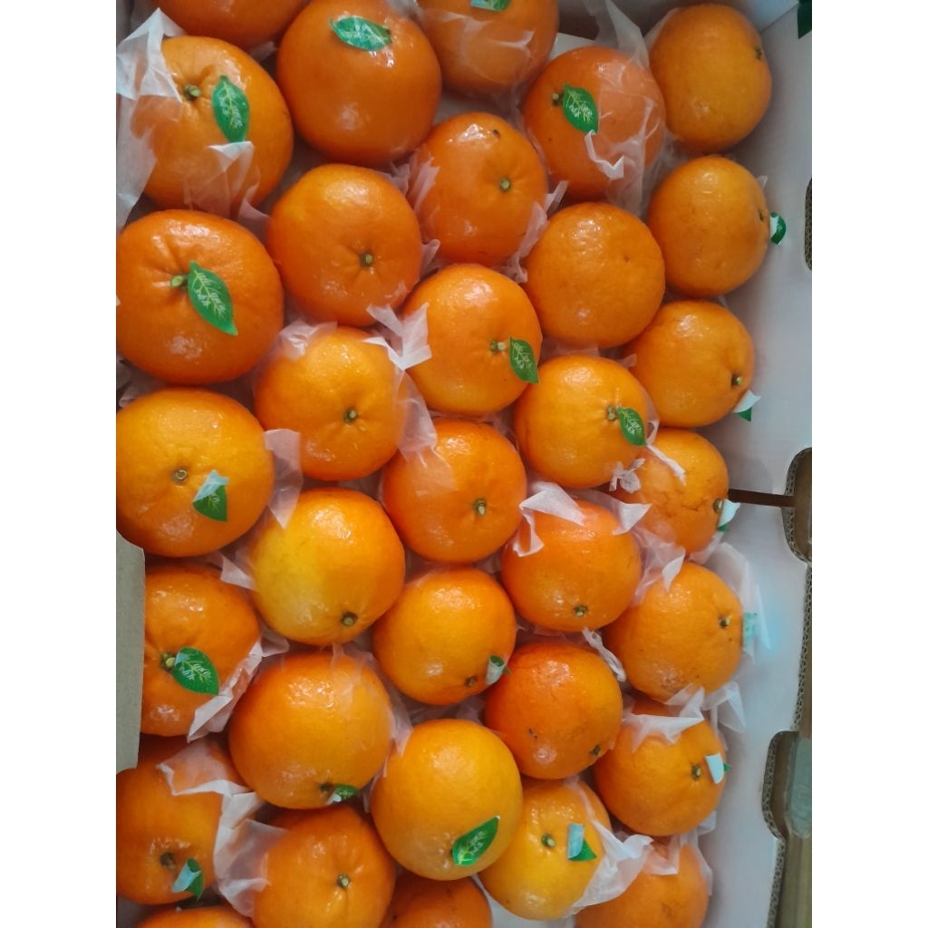 

jeruk mandarin wogan