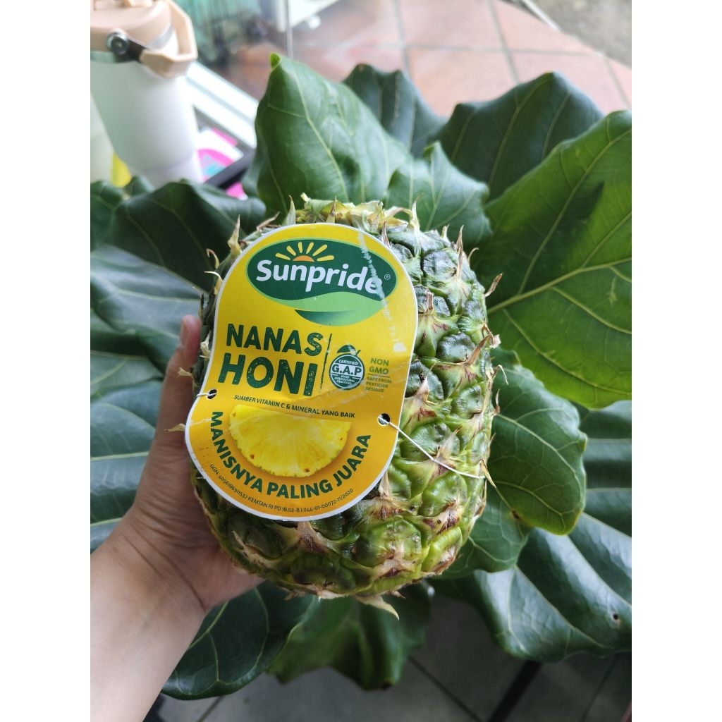 

Nanas Honi Sunpride tanpa kepala