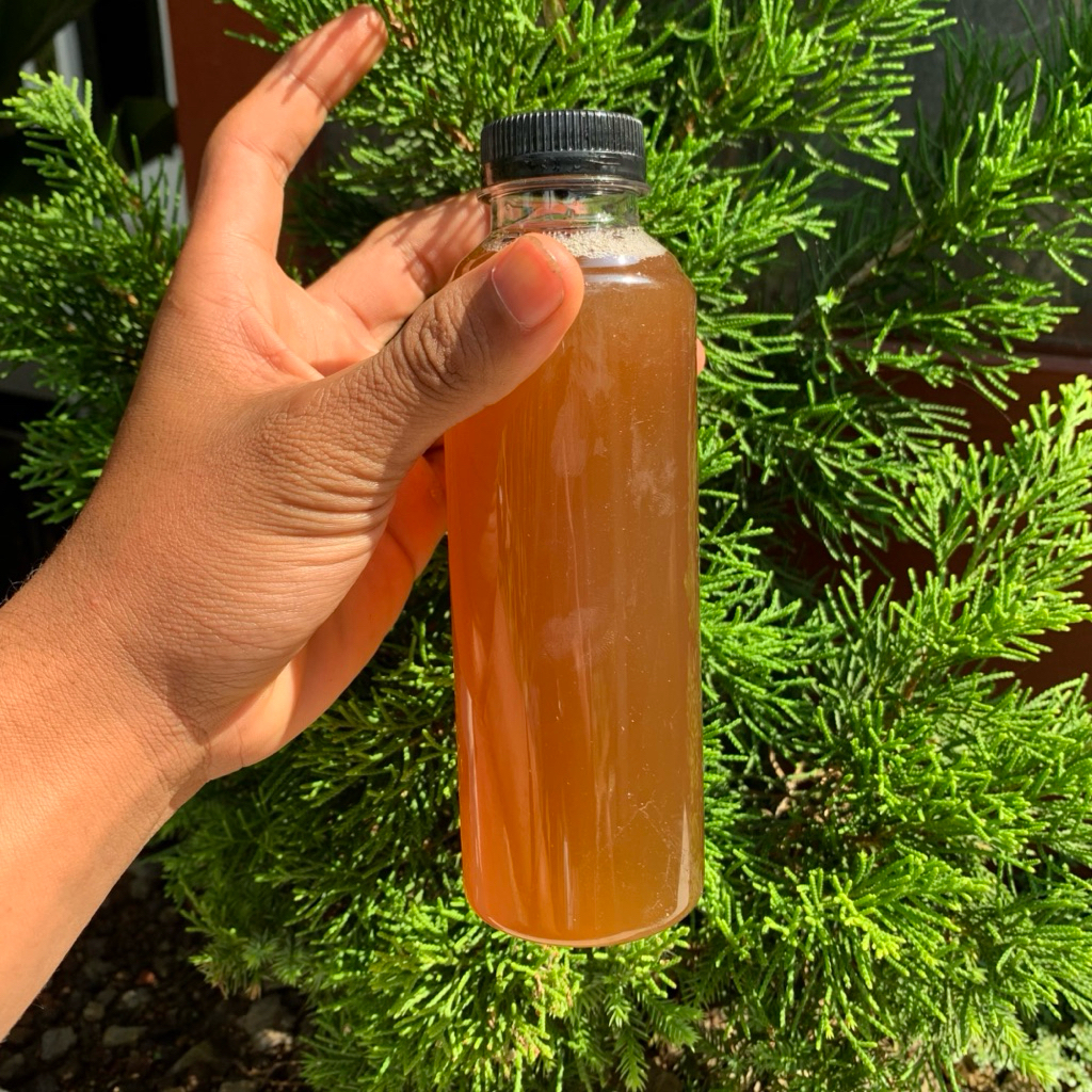 

Air nira aren atau lahang aren per satu botol kualitas terbaik dijamin keaslianya.