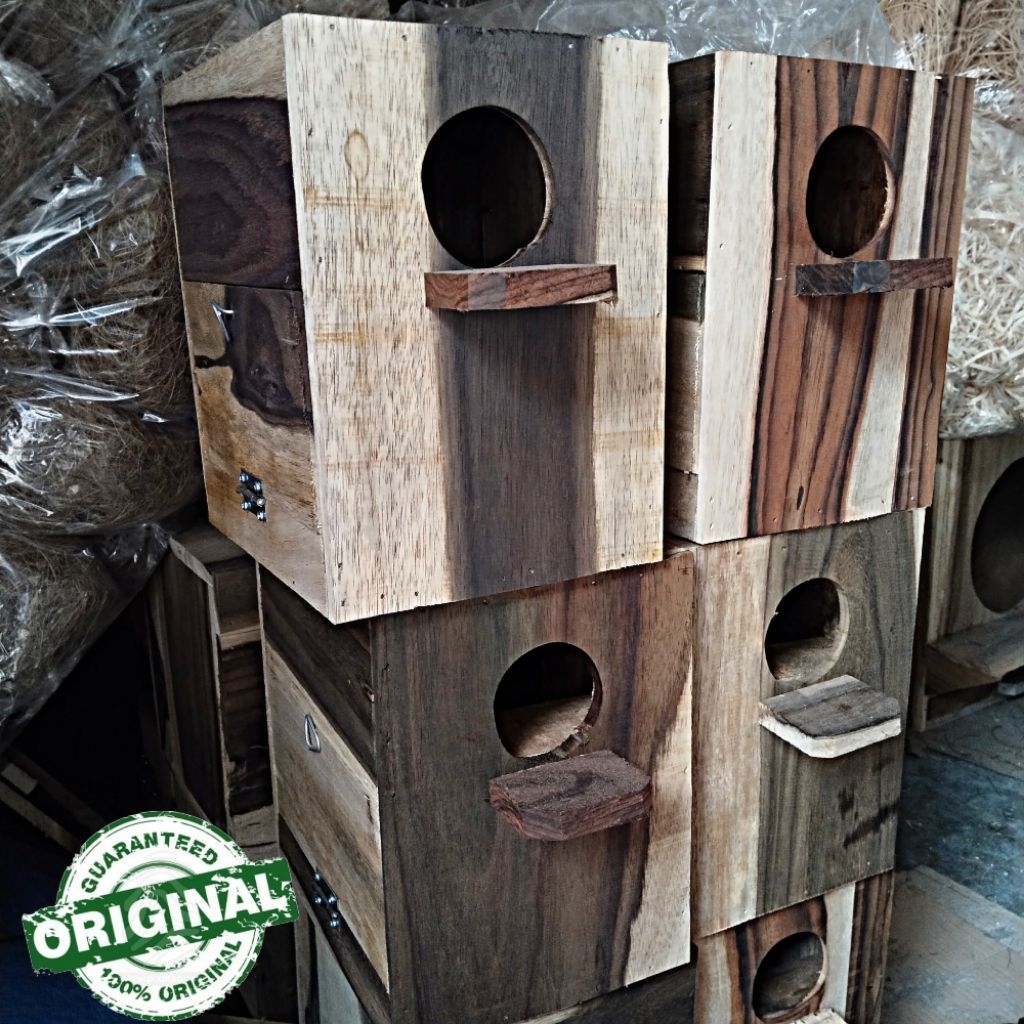 Glodok lovebird parkit glodok ternak pintu samping kayu sonokeling