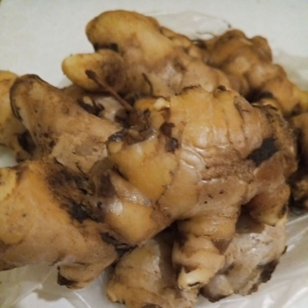 

Jahe Segar Asli | Rempah & Herbal Alami | 250gr / 500gr / 1kg