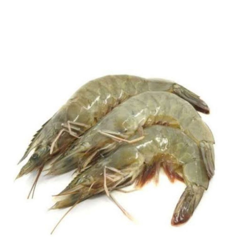 

Udang segar 250gr ( ukuran sedang )