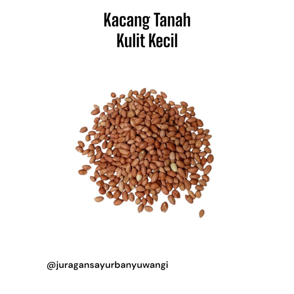 

Kacang Tanah Kulit Mentah Besar Berkualutas 1kg
