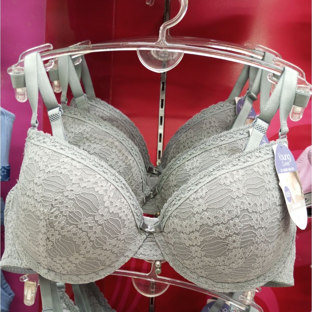 Young Curves C03-10380