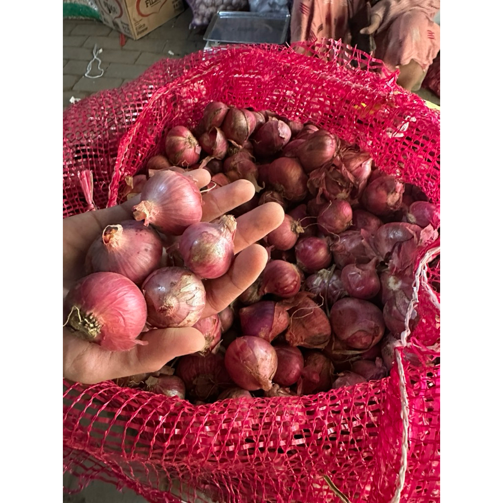 

BAWANG MERAH BALI KARET 1KG TANGGUNG BESAR