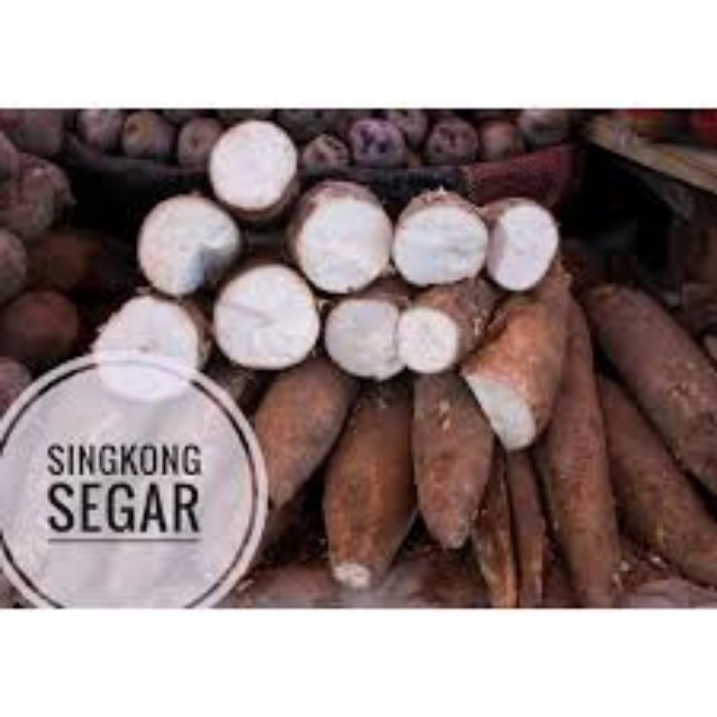 

singkong mentah pulen dan empuk