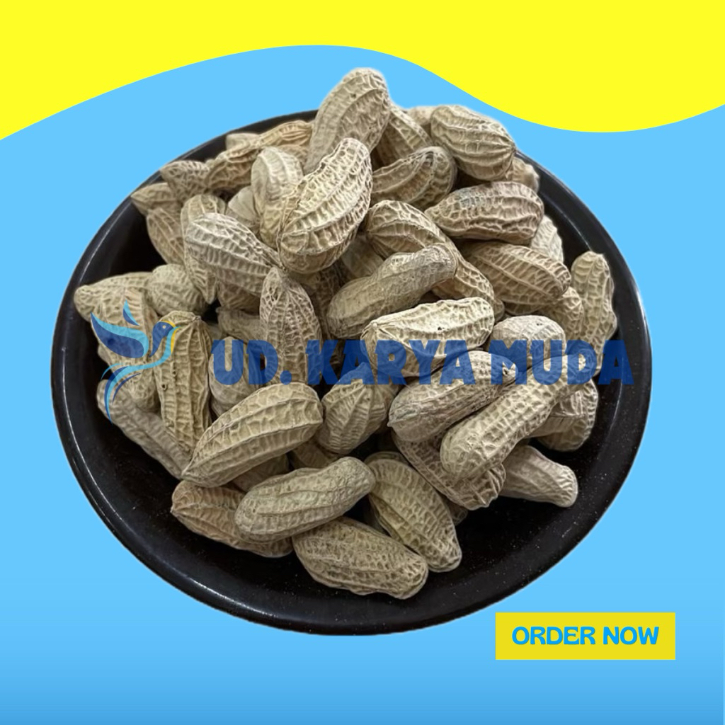 

KACANG KULIT GURIH 1KG/KACANG OVEN PUTIH/ KACANG HAJATAN