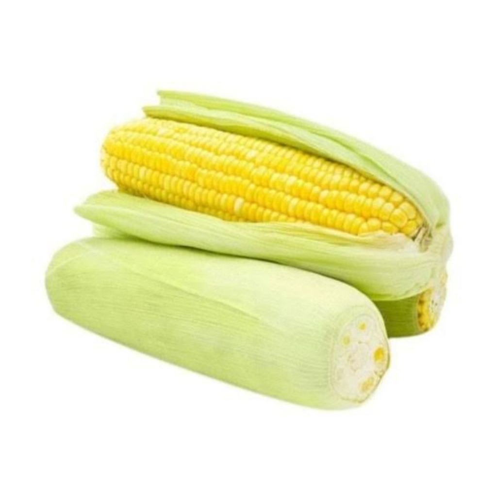 

Jagung Manis Kulit Fresh Segar