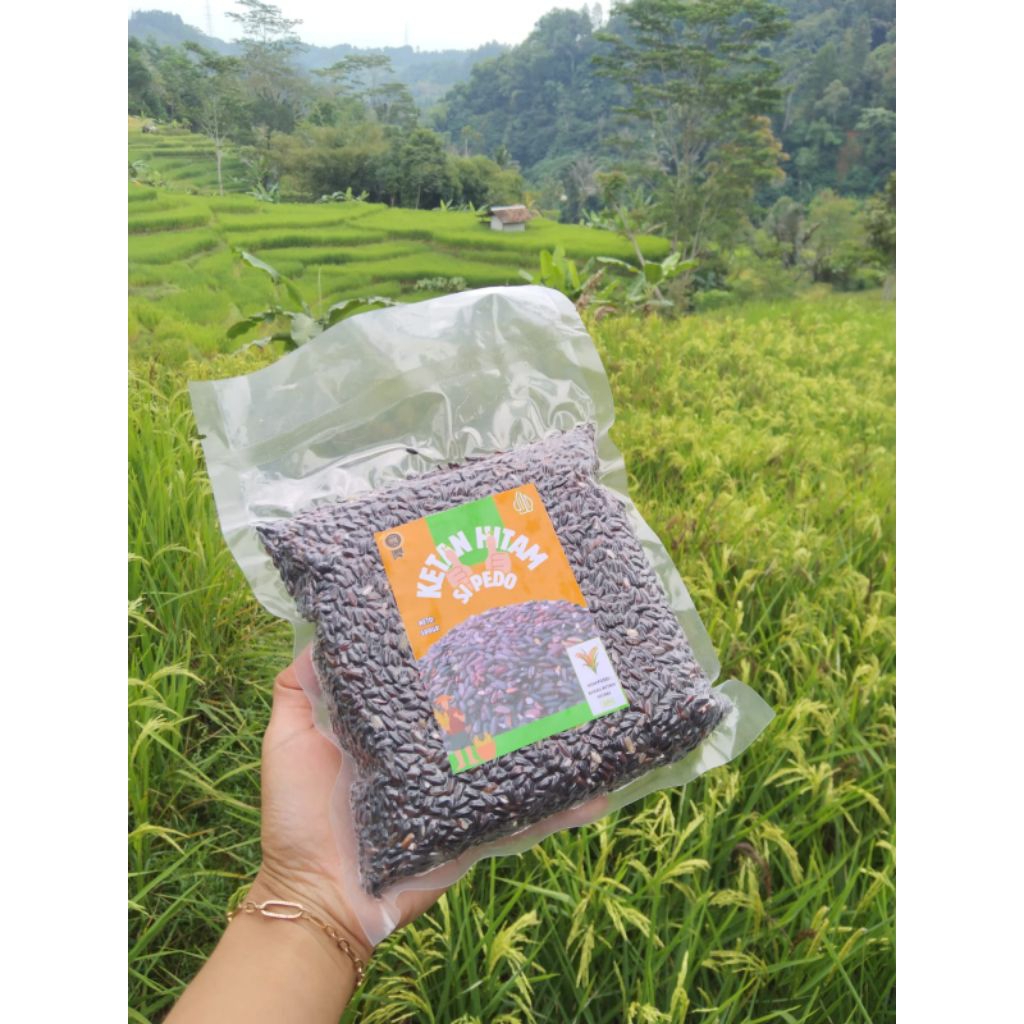 

Beras Ketan Hitam 100% Asli Beras Ketan Hitam Tanpa Campuran 500gram