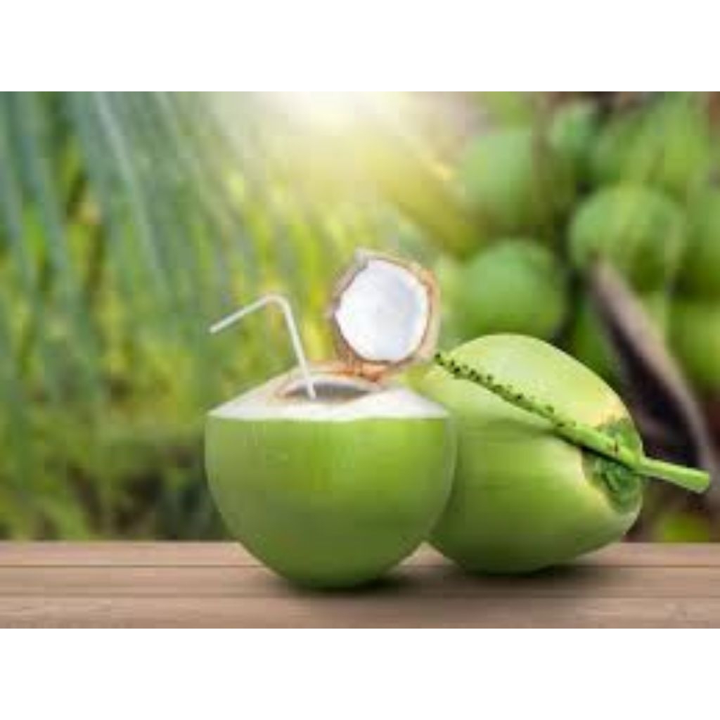

Air kelapa segar tanpa pengawet 40%