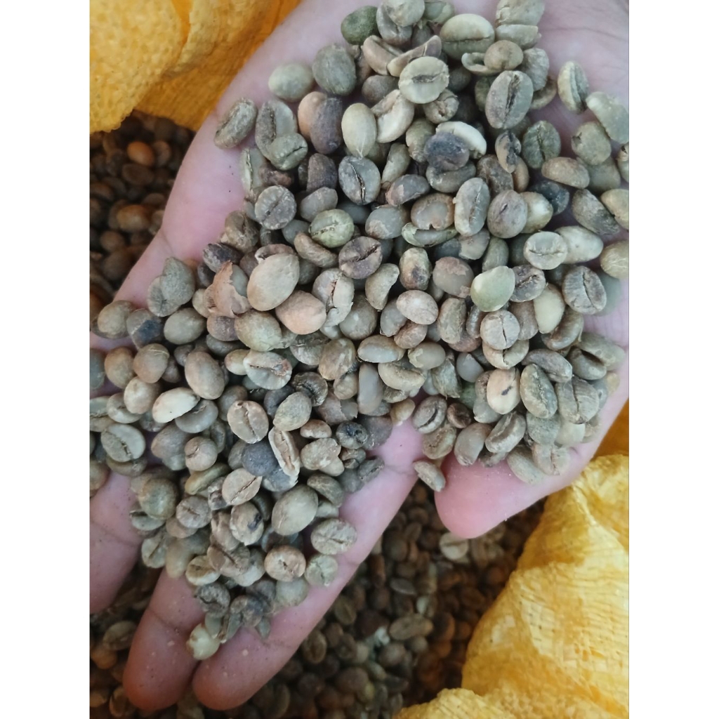 

Kopi Toraja Mamasa Greenbeans - No Grade (Asalan)