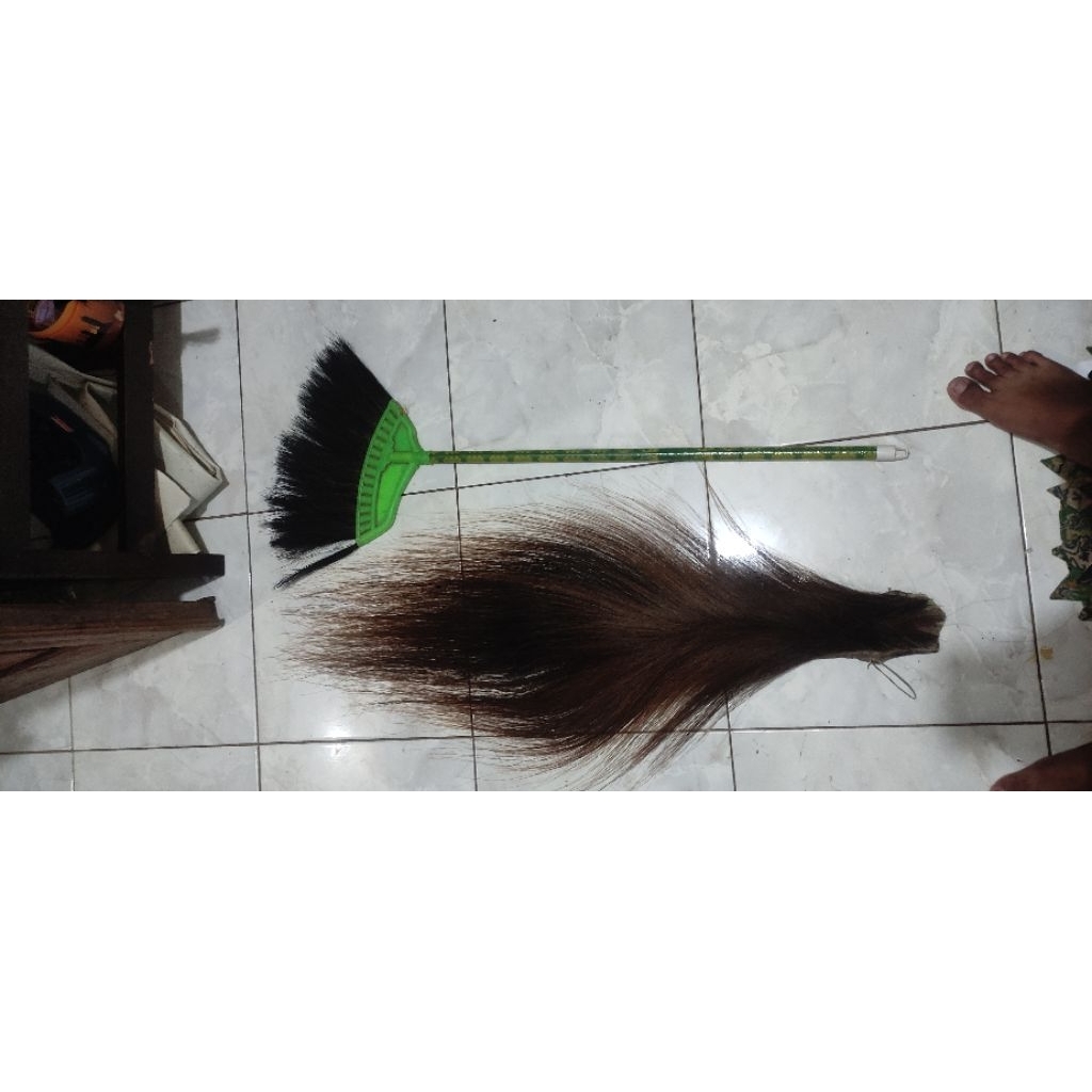 ekor suri dan suri kuda