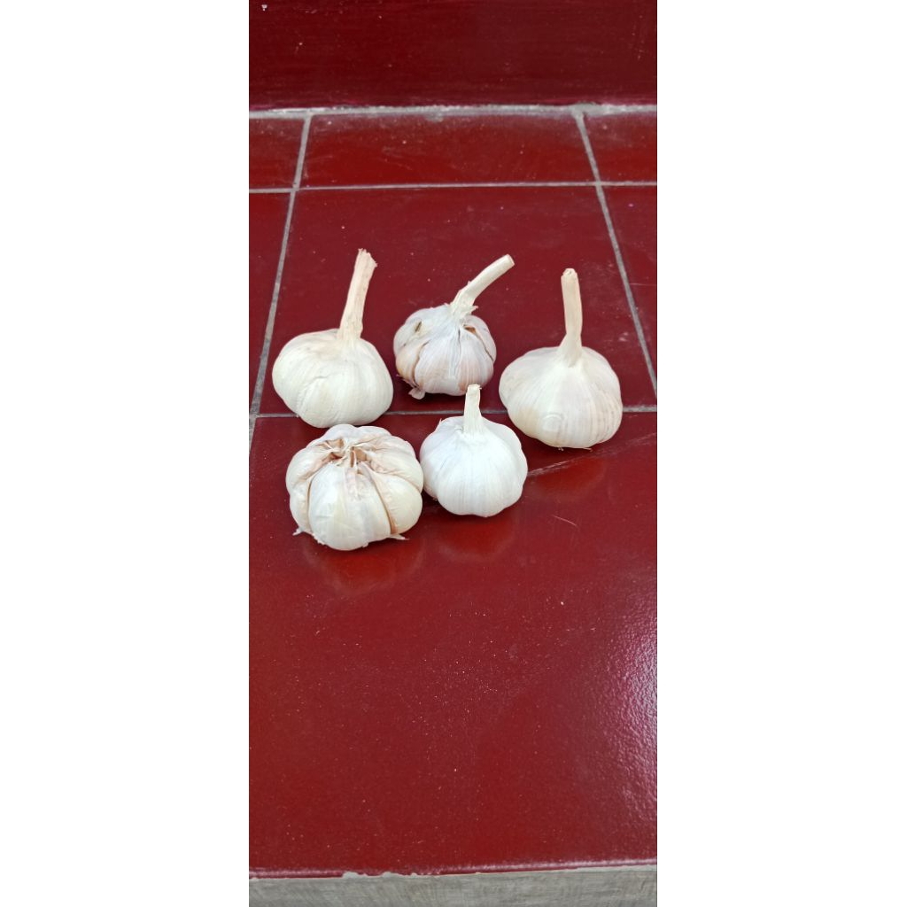 

bawang putih bersih kering kemasan 500gr/½kg