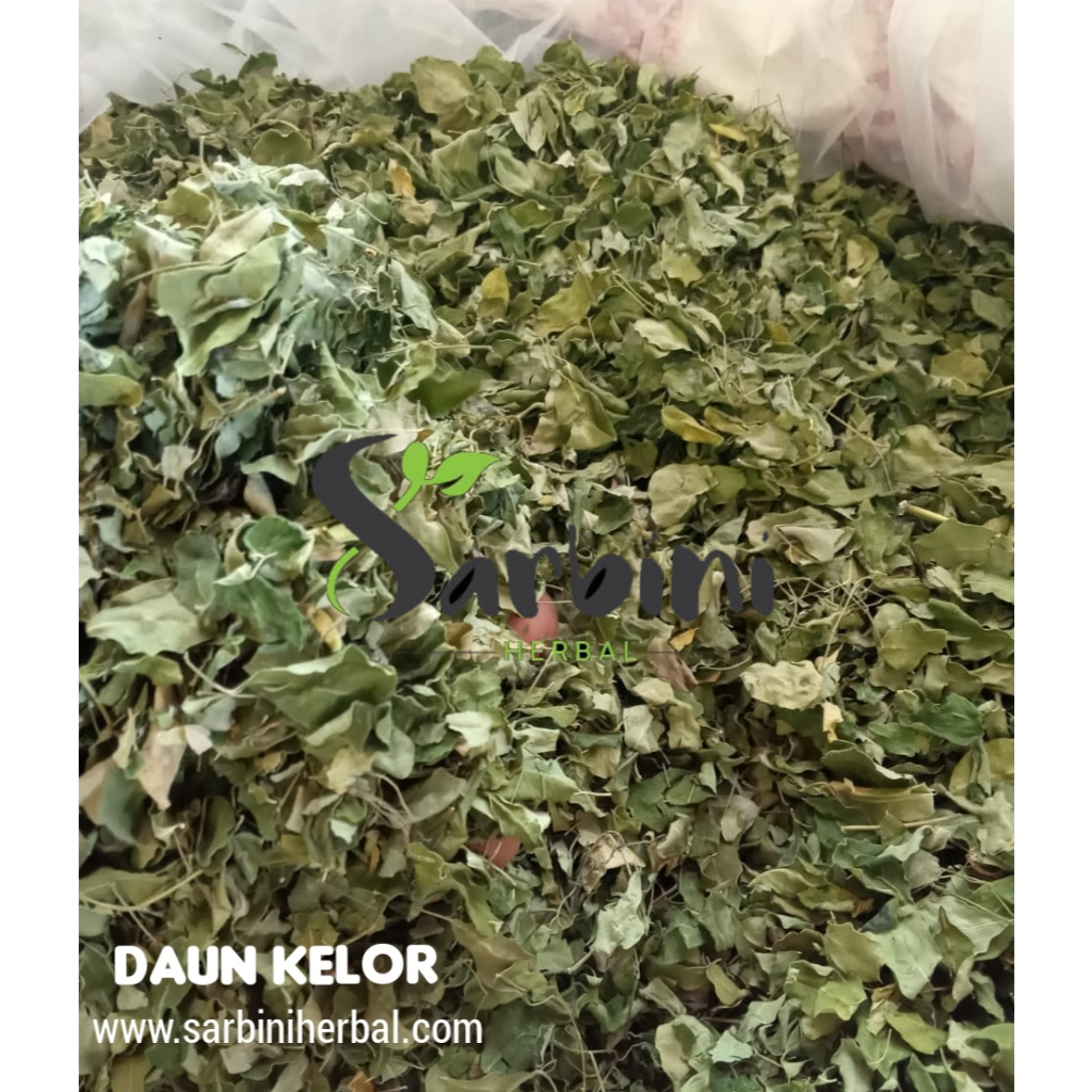 

Daun Kelor Kering / Kering Daun Kelor 100 gram / 250 gram / Simplisia Kering Daun Kelor / Daun Kelor Garansi Terjamin 100% Asli Murni / Bahan Daun Kelor Kering / Bahan Daun Kelor Premium