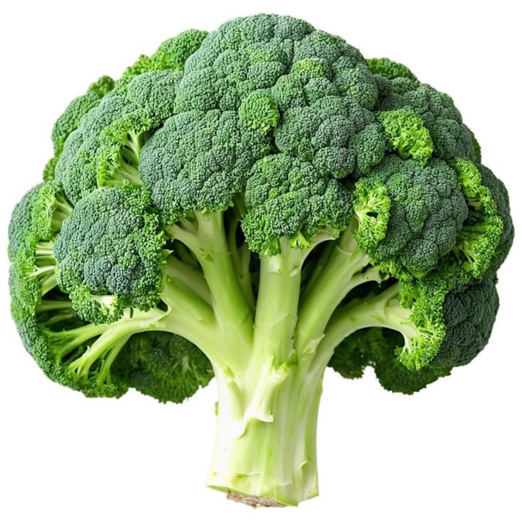 

Brokoli / Broccoli 500 Gram Fresh
