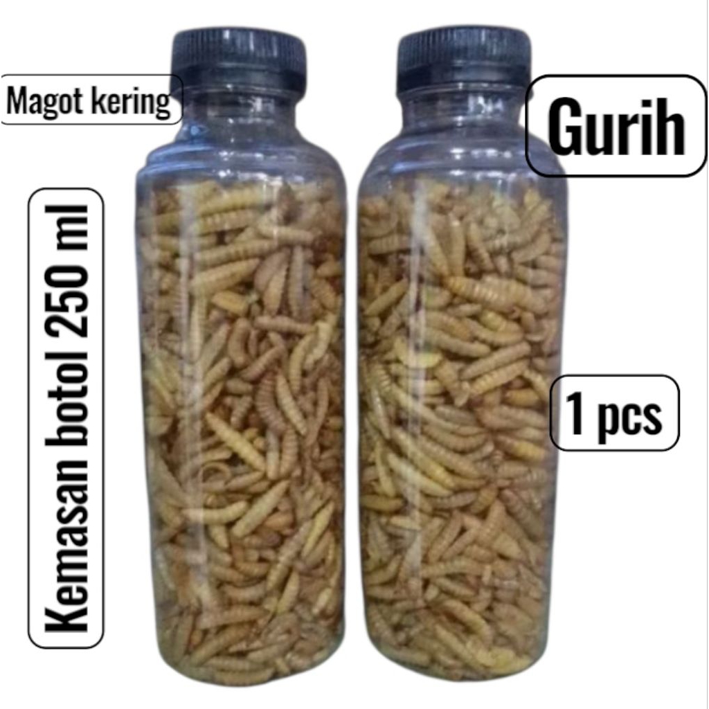 Magot kering BSF/maggot kering/magot kering kemasan botol 250 ml/Magot kering