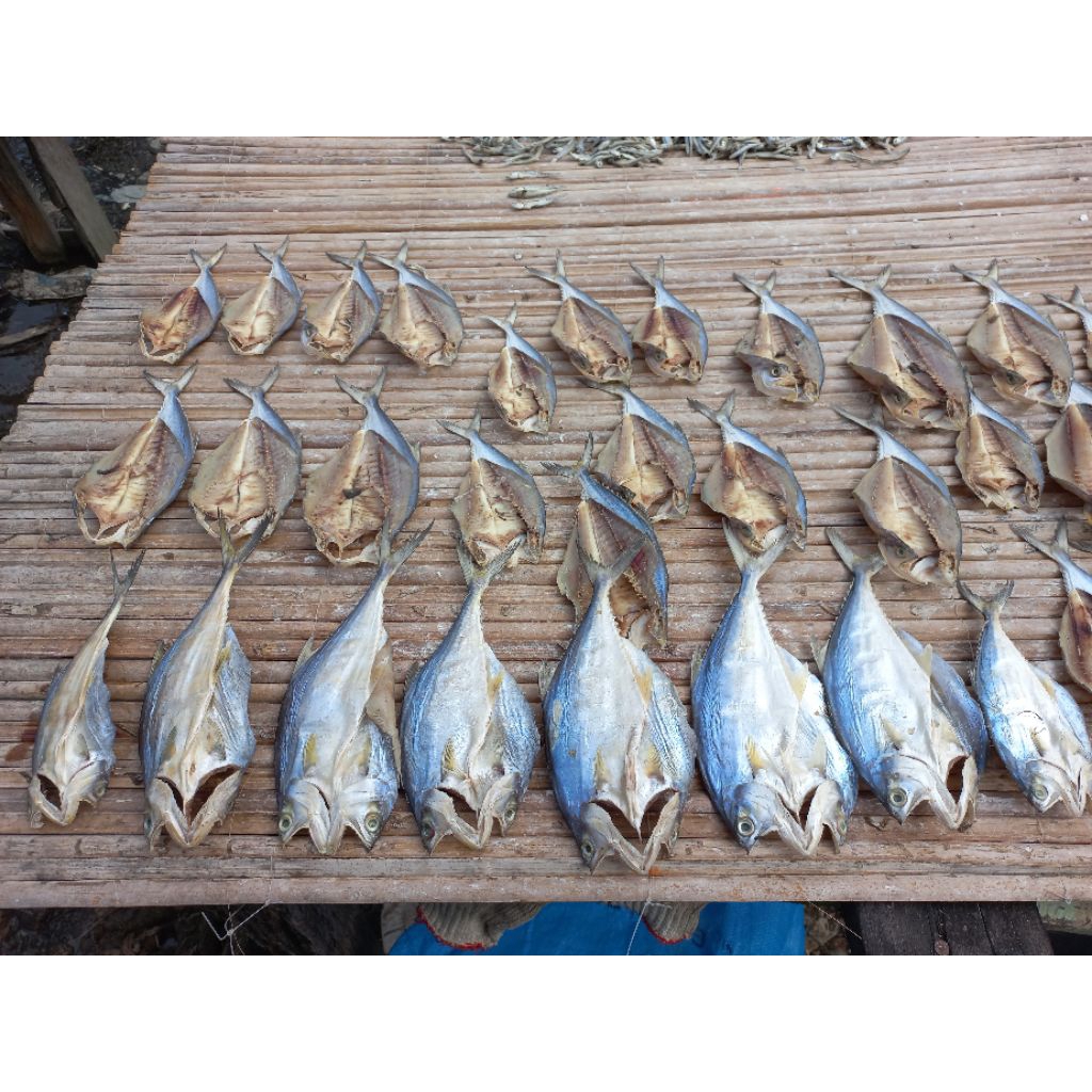 

Ikan Jemur PANDAN ASIN Sibolga
