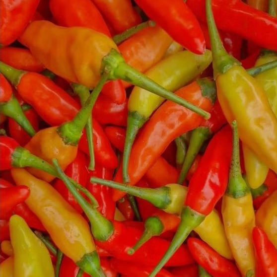 

Cabai Rawit Merah 500 gram