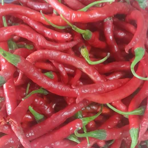 

Cabai Merah Keriting 1kg