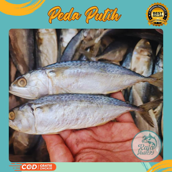 

IKAN ASIN PEDA PUTIH