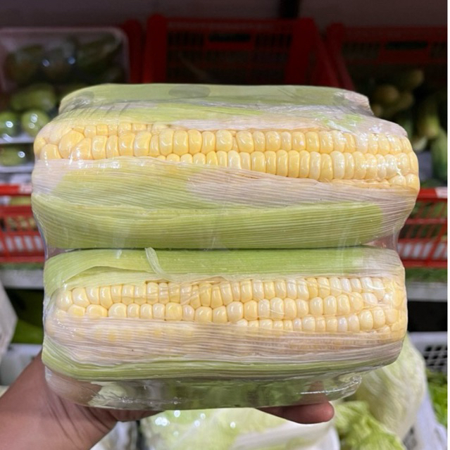 

Jagung 1 kg | Promo Sayuran Murah | Fresh Buah Amanah