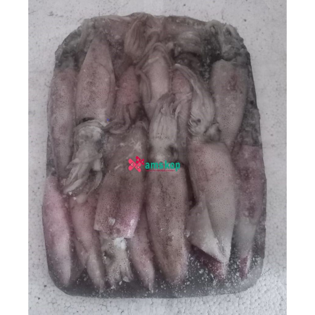 

Cumi cantik fresh beku 500gr/1kg