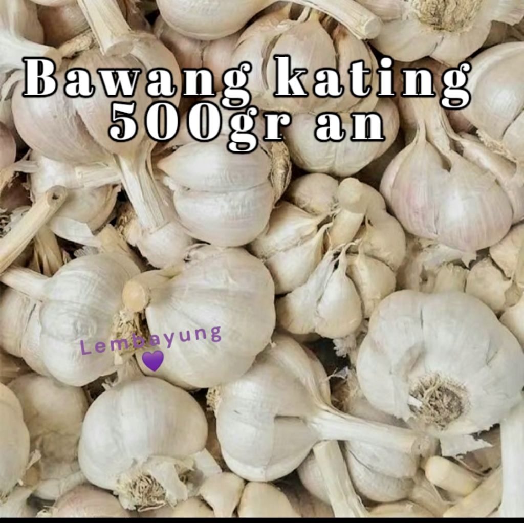 

Bawang kating 500gr