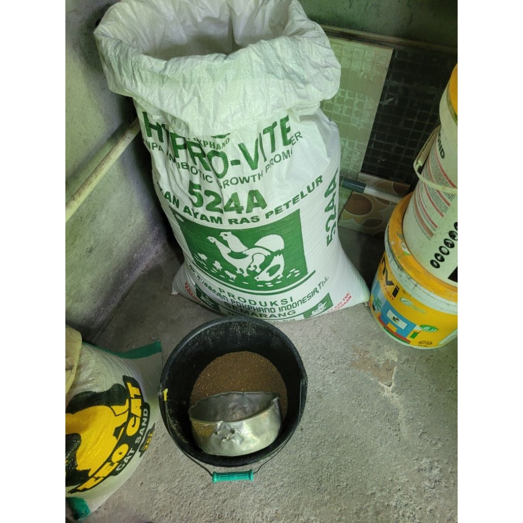 pakan ayam petelur 524 / pokphand 524