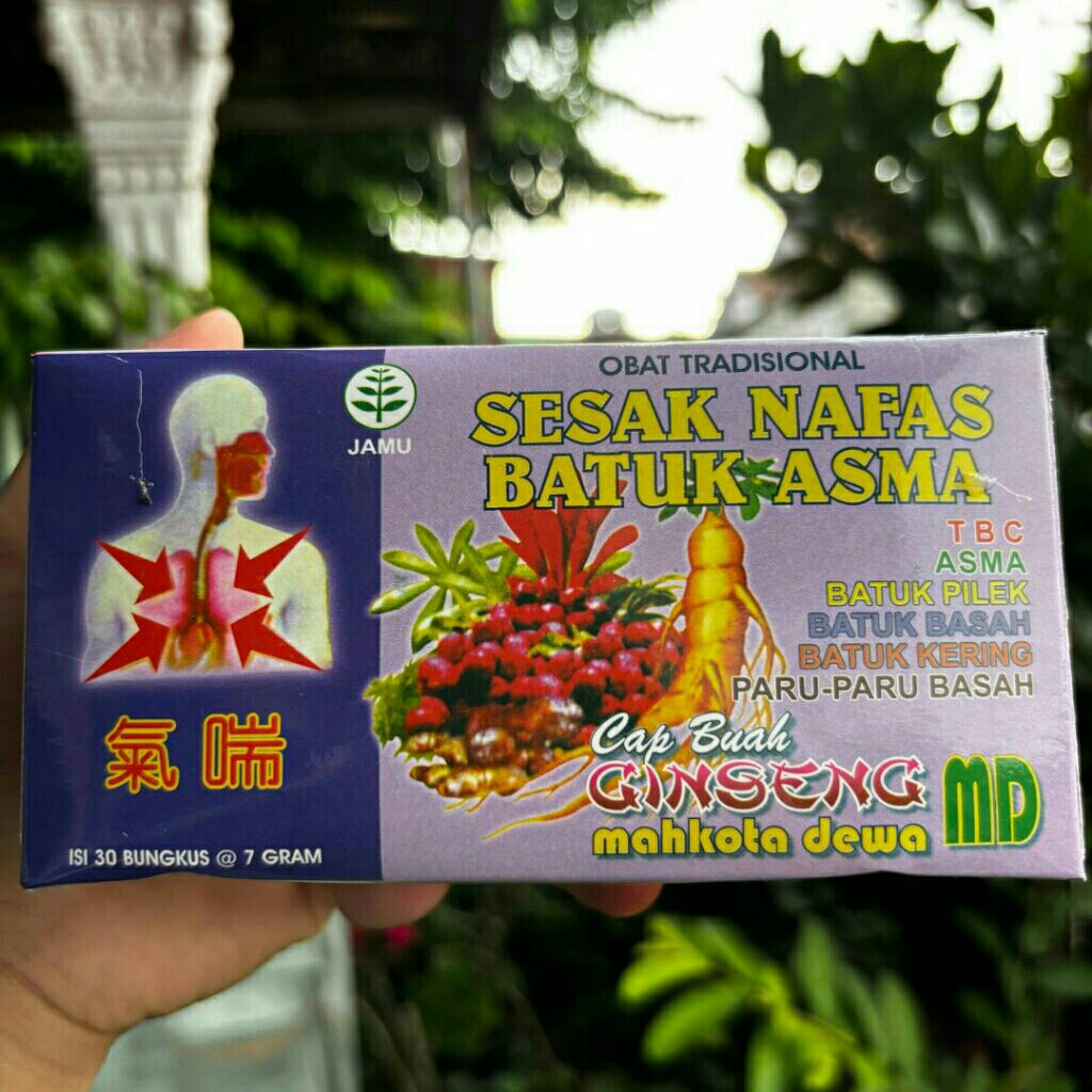 

Cap Buah Gingseng MD Mahkota Dewa:Obat Tradisional untuk Sesak Nafas, Batuk dan Asma