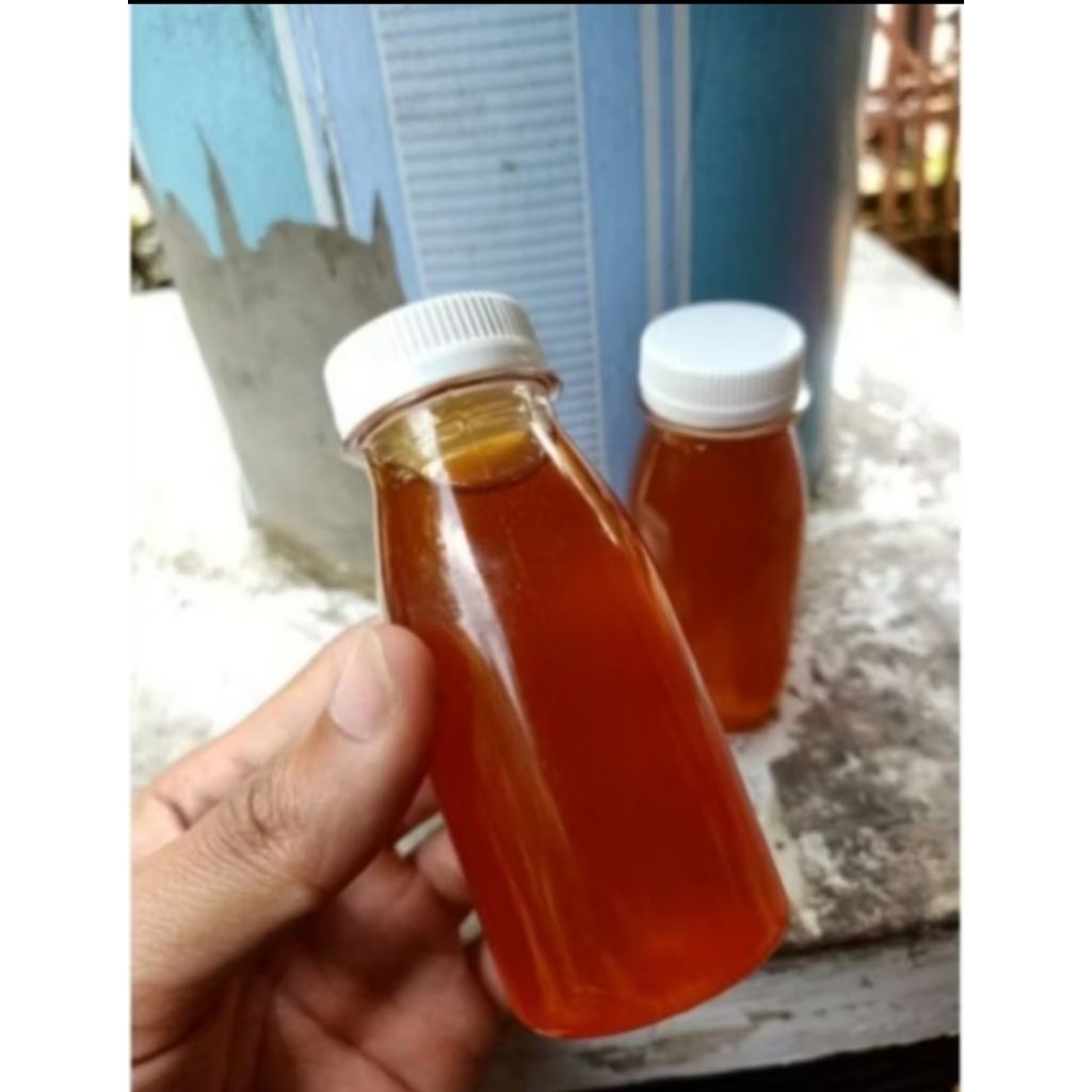 

MINYAK IKAN SALMON/GALATAMA PREMIUM