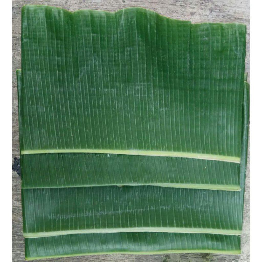

DAUN PISANG SEGAR PER IKAT