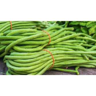 

Kacang Panjang Medan Daily Market