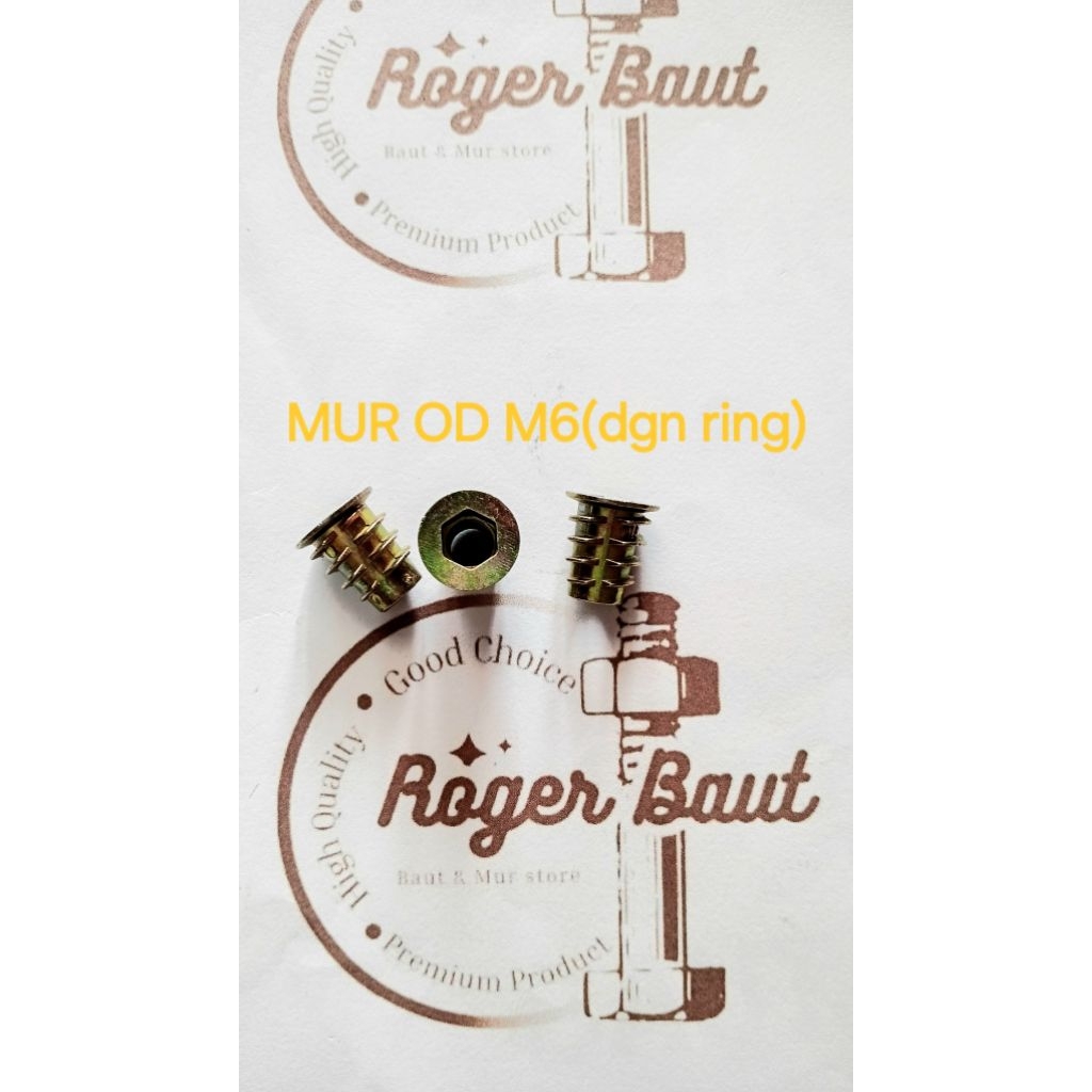 Mur Nanas M6 x 1.3cm OD (dengan  Ring) / Mur Furniture Knockdown Tanam Nanas M6 x 1.3cm1. Biasa digu