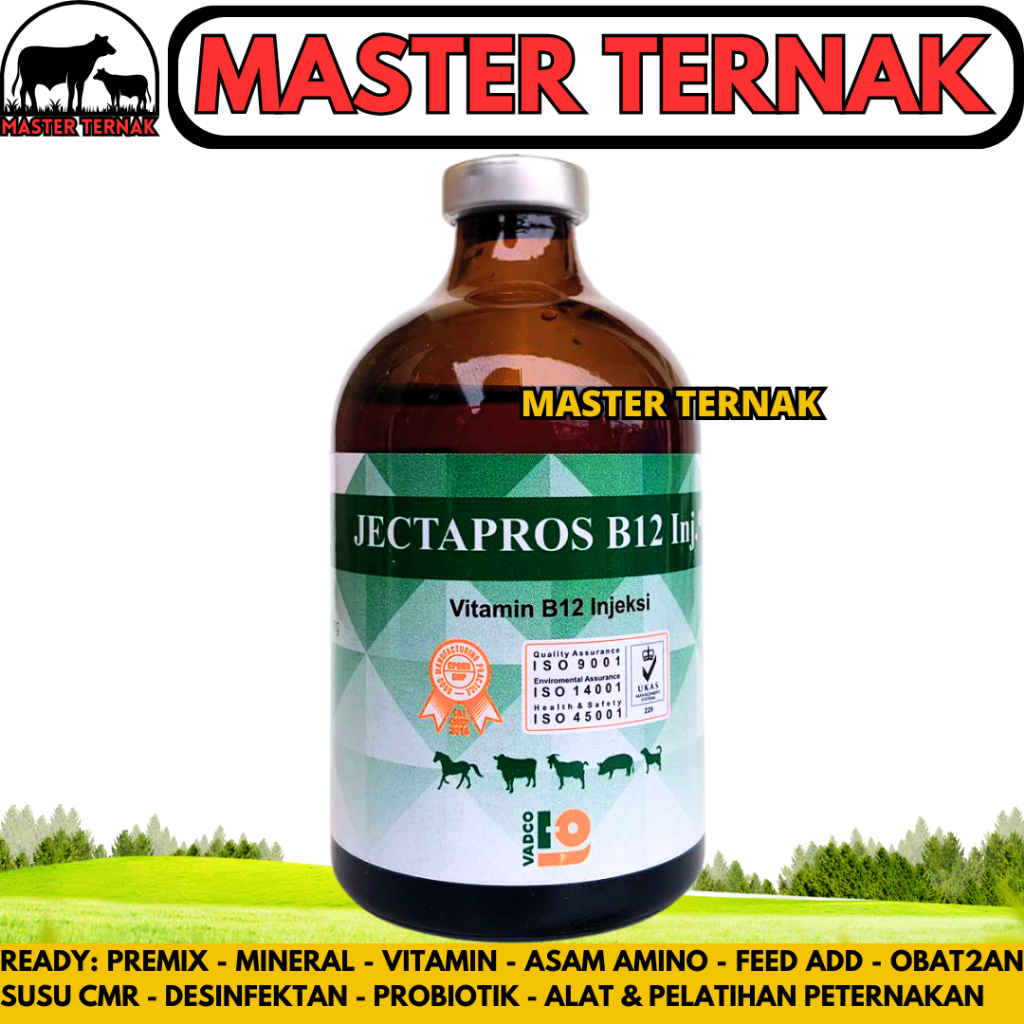 JECTAPROS B12 100ML VADCO - Vitamin B12 Hewan Anti Anemia & Menambah Nafsu Makan - Like Jectavit b12