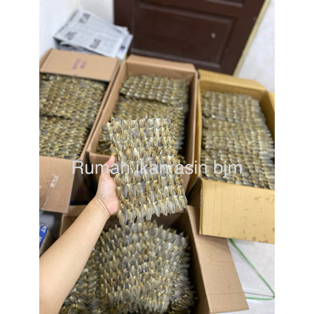 

sapat tikat / ikan kering sepat tikar tawar
