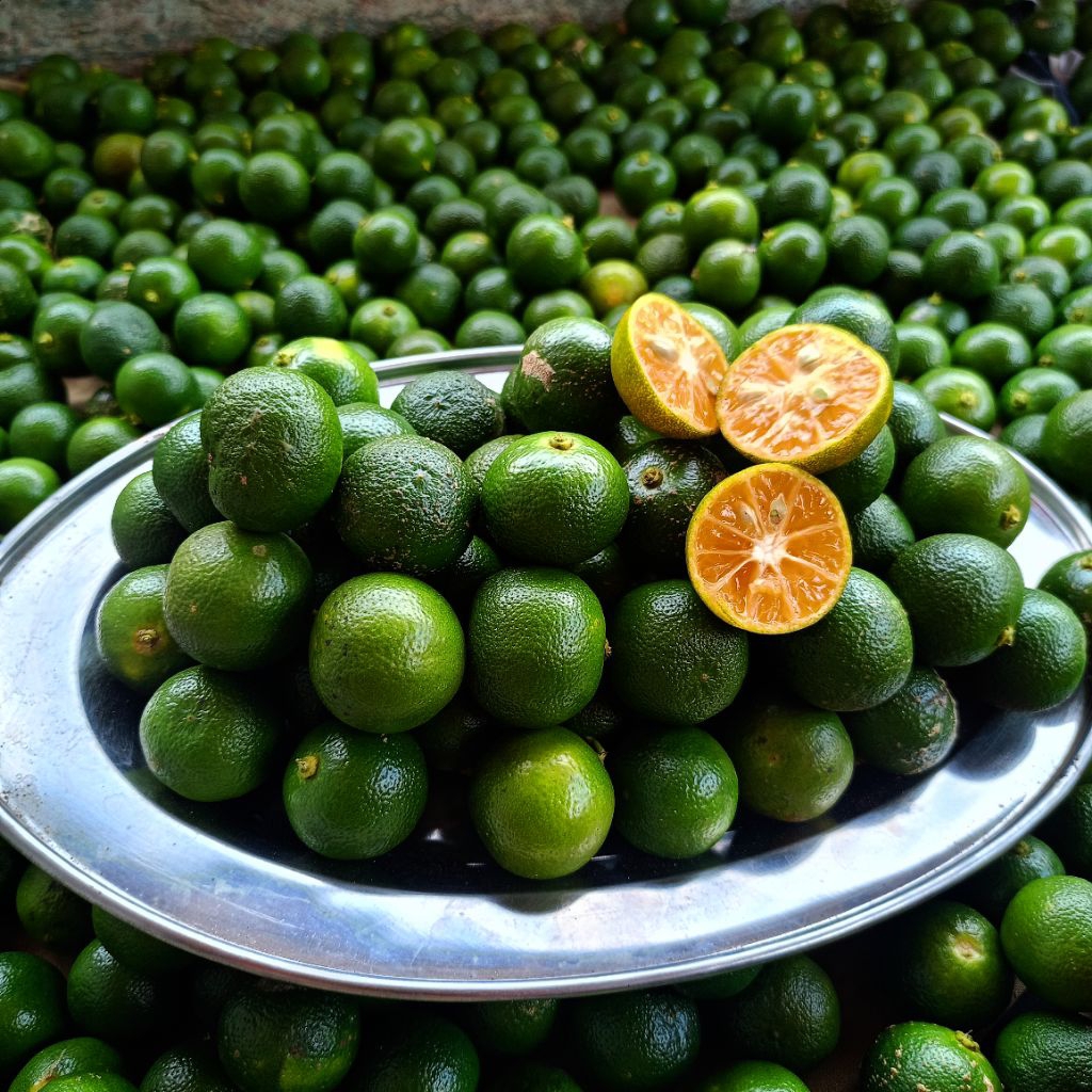 

1KGJERUKSONKIT JERUKPERAS JERUK KASTURI LEMONCUI