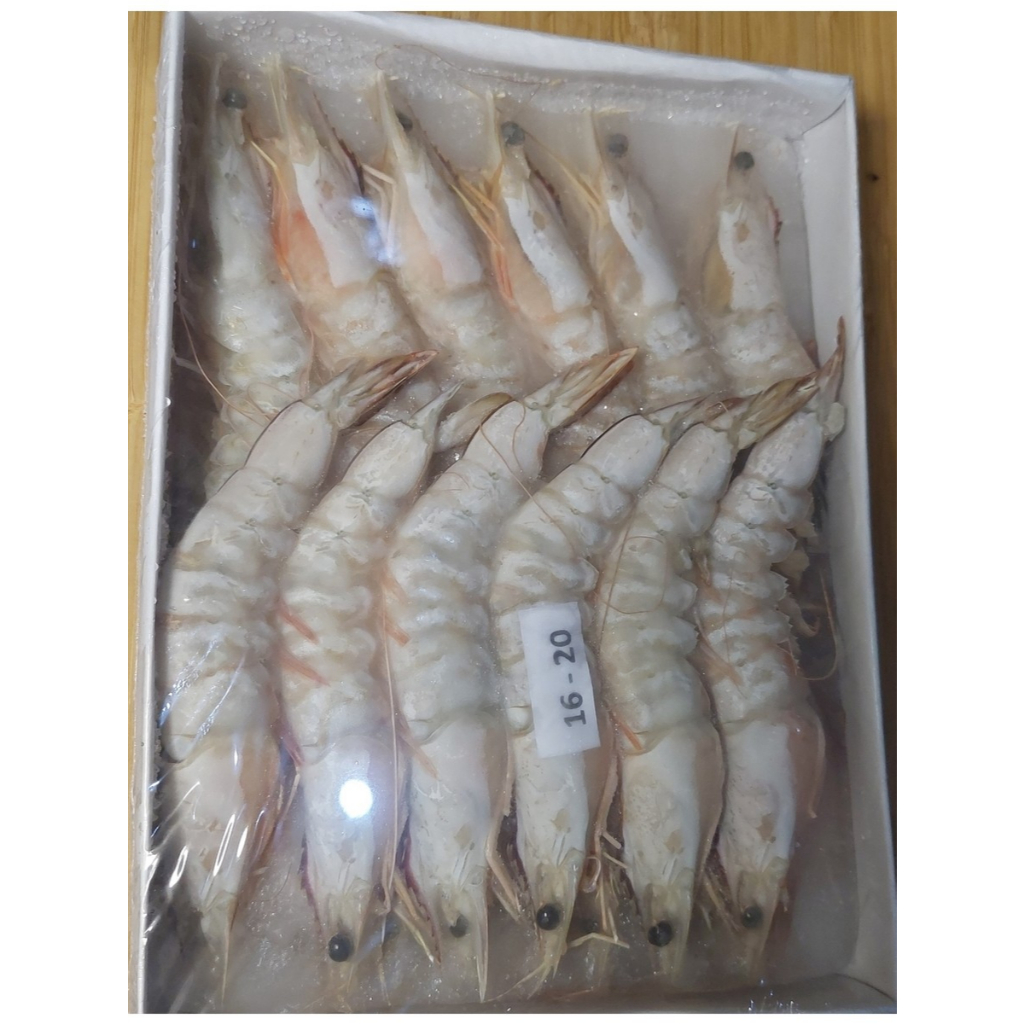 

Udang Jerbung HOSO Premium Size 16-20/Pack