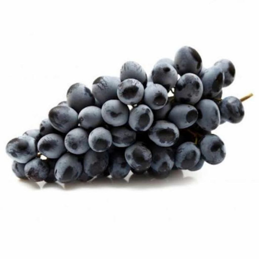 

anggur midnite beauty whl